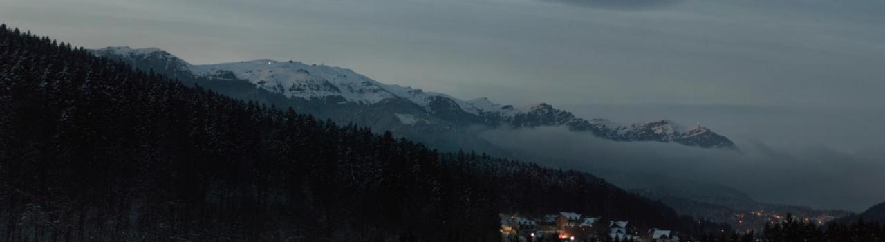 Best View Ap With Parking And 2 Bathrooms Sinaia Eksteriør billede