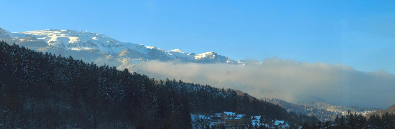 Best View Ap With Parking And 2 Bathrooms Sinaia Eksteriør billede