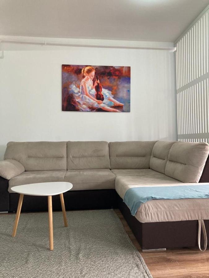 Best View Ap With Parking And 2 Bathrooms Sinaia Eksteriør billede