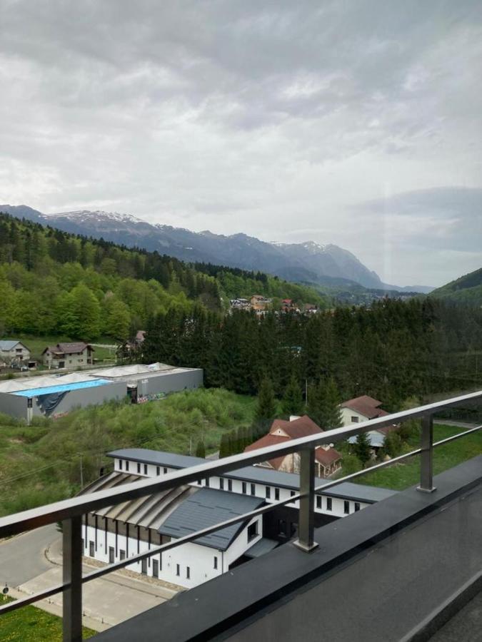 Best View Ap With Parking And 2 Bathrooms Sinaia Eksteriør billede