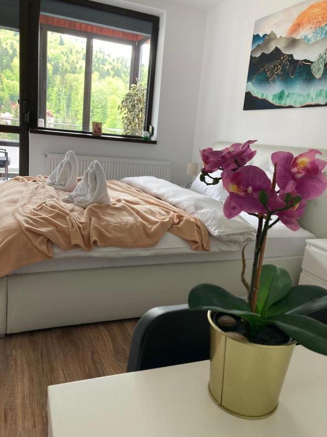 Best View Ap With Parking And 2 Bathrooms Sinaia Eksteriør billede