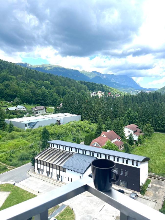 Best View Ap With Parking And 2 Bathrooms Sinaia Eksteriør billede